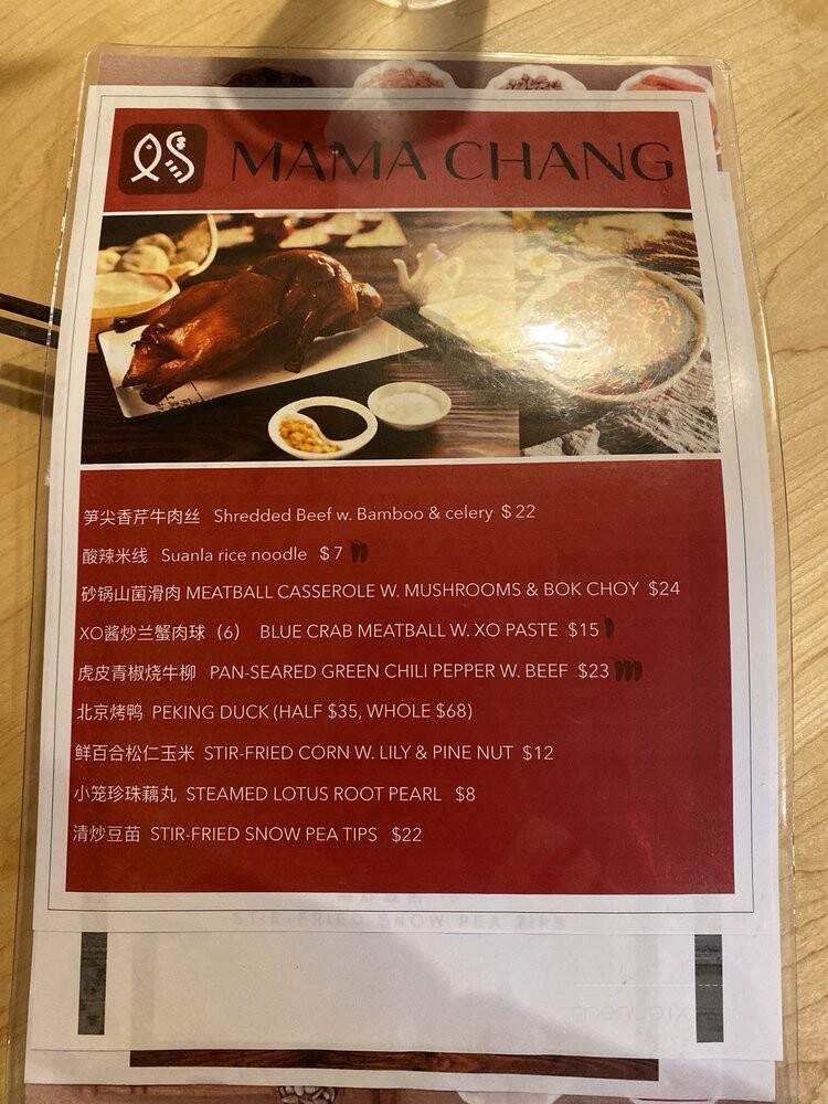 Mama Chang - Fairfax, VA