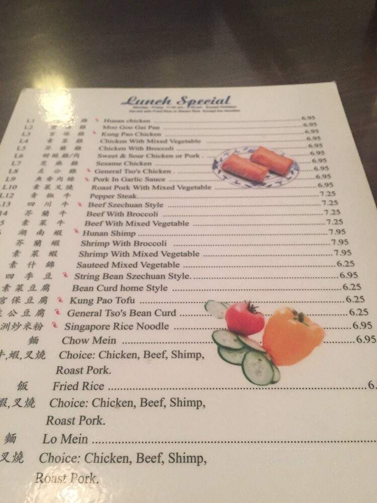 Hunan Taste Restaurant - Springfield, VA