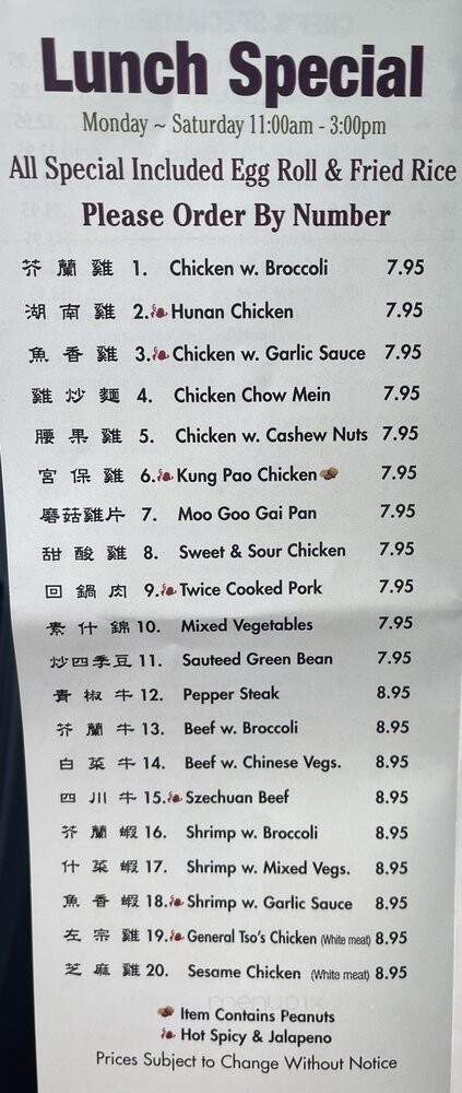 Hunan Cafe - Vienna, VA