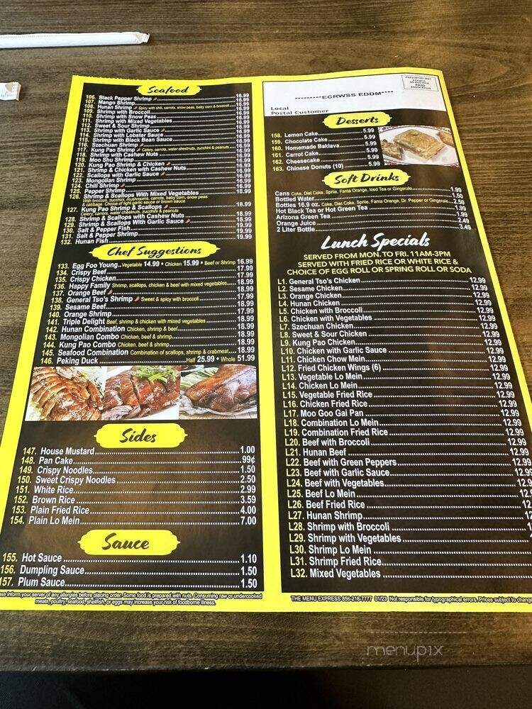 Halal Hunan Village - Vienna, VA