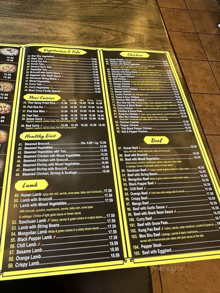 Halal Hunan Village - Vienna, VA